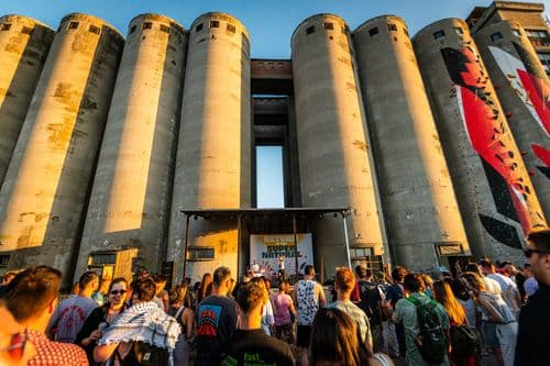 U Supernatural stilu: Linijski park Beograda kao pčelinji koridor